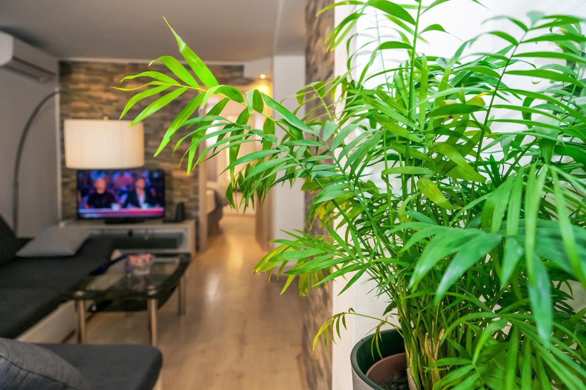 Relaxing 2Bd Apartment, Ground Floor - Walk To Old Town Split Luaran gambar